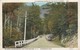 New York : ADIRONDACK : Picturesque Scéne On The State Highway ( Colorisée ) - Adirondack