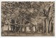 The Great Banyan Tree, Botanical Garden, Calcutta - India