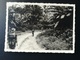 Delcampe - MILITAIRES PARA - COMMANDOS DE BELGIQUE DÉTACHÉS AU CONGO BELGE FIN ANNÉES 1950 LOT 15 PHOTOS Et 2 Cartes - Photos - Guerre, Militaire