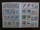 Huge Collection Of 155 Used Stamps On Topic Winter Sport With Album Ski Hockey Ce Skating, Bob, Speed Skating, Ski Jump - Hiver