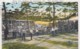 Horse Shoe Pitching St. Petersburg Florida Pastime, C1920s Vintage Postcard - Other & Unclassified