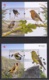 59.- PORTUGAL 2019 EUROPA 2019 NATIONAL BIRDS (THREE SOUVENIR SHEET AND THREE STAMPS) - 2019