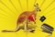 Kangaroo Travelling, Australia - Government PC, Unused - Other & Unclassified