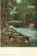 4666" A GLIMPSE OF THE FALLS-BRONX PARK-NEW YORK  " -CART. POST. ORIG. NON SPED. - Parcs & Jardins