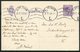 1923 Denmark 15 Ore Stationery Postcard (68 - H) Copehagen. Botanic Museum Meeting - Covers & Documents