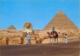 Egypt 1985 Picture Postcard To Italy With Airmail Stamp 25 P. Statue Of Akhenaton - Archeologia