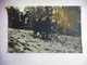 CARTE PHOTO LUGE - Sports D'hiver