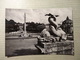 Delcampe - Lot - Roma / BROMOFOTO (5872) Vera Fotografia (5872) - Collections & Lots