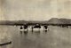 INDE INDIA PALACE RAJAH UDAIPUR NEW PALACE LAKE +- 16* 11CM Fonds Victor FORBIN (1864-1947) - Lugares