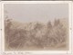 (PHOTO   ORIGINALE Fin 19eme Debut 20 Eme  9x12 Sur Support Carton)  Vue D Hyeres - Anciennes (Av. 1900)