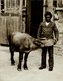 YOUNG BUFFALOE FROM UGANDA AND BLACK BOY   +- 21*16CM Fonds Victor FORBIN (1864-1947) - Non Classificati