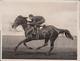 TRAINING CUP HORSES GALLOPING AT FLEMINGTON VICTORIA MELBOURNE CUP AUSTRALIA  +- 21*16CM Fonds Victor FORBIN (1864-1947) - Deportes