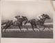 AUSTRALIA THE NIGHT PATROL LORD STRADBROKE'S HORSE DEFEATING WHITTIER WS COX  +- 21*16CM Fonds Victor FORBIN (1864-1947) - Deportes