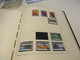 Delcampe - KANADA. 1991  Bis  1996  Posten  O /  ** /   MARKEN  Auf. LEUCHTTURM - VORDRUCK. Und  BLANKO - SEITEN  Im. BINDER - Sammlungen (im Alben)