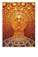 Postcard Pschedelic Art - Alex Grey - Size 15x10 Cm. Aprox. Unused - Pintura & Cuadros