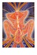 Postcard Pschedelic Art - Alex Grey - Size 15x10 Cm. Aprox. Unused - Malerei & Gemälde