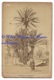 SAHARA ALGERIEN GOURBI DE KHAMES - TENTE MOUTON - PHOTO CDV 15 X 9.5 CM - ALGERIE - Afrique
