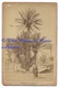 SAHARA ALGERIEN GOURBI DE KHAMES - TENTE MOUTON - PHOTO CDV 15 X 9.5 CM - ALGERIE - Afrika