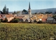 ¤¤   -  SANTENAY   -  Les Vignes    -   ¤¤ - Other & Unclassified