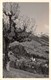 Cartolina Alpbach Tirol 1950 - Non Classificati