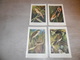 Beau Lot De 20 Cartes Postales Oiseaux  Oiseau  Illustrateur H.Dupond     Mooi Lot Van 20 Postkaarten Van Vogels  Vogel - 5 - 99 Cartes