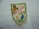 PATCH TOPPA STEMMA FREGIO VINTAGE IN STOFFA RICAMATO A MANO  APRICA. - Patches