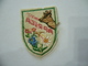 PATCH TOPPA STEMMA FREGIO VINTAGE IN STOFFA RICAMATO A MANO  APRICA. - Patches