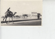 ETIOPIA 1950 - Asmara (foto) - Yvert A 25A - Fauna - Cammello - Etiopia