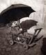 Carte Photo Originale Parapluie, Parasols & Ombrelles ! Gottfried Wurbs (1894 - 1970) Lichtbild 356 - Personnes Anonymes