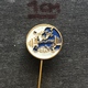 Badge Pin ZN008675 - Weightlifting EWF European Federation Association Union - Pesistica