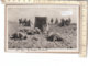 PO8703D# AFRICA ORIENTALE - COLONIE - LIBIA - PREGHIERA NEL DESERTO - FOTOGRAFO COMINI  VG 1933 - Libia