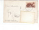 PO8704D# AFRICA ORIENTALE - COLONIE - ERITREA - CAVALIERE ABISSINO - FOTOGRAFO COMINI  VG 1936 - Eritrea