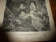 Delcampe - 1882 JDV : Assassinat De Pierre Arnoux à Obock; Les Mines De Fer De DANNEMORA  (Mines De La Vierge) En Suède ; Etc - 1850 - 1899