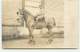 Carte-Photo - Haras D'ORGEVILLE Par Pacy Sur Eure - Militaire Sur Un Cheval - Autres & Non Classés