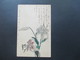 Japan Alte Postkarte Mit Orchideen Union Postale Universelle Um 1900 ?!? - Covers & Documents