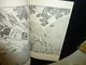 Delcampe - LIVRE ANCIEN JAPONAIS ESTAMPES LITHOGRAPHIES GRAVURES 03 - JAPANESE OLD BOOK ILLUSTRATION - Oude Boeken