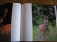 Delcampe - AU NOM DU CERF P Moës G Jadoul Animal Animaux Cervidés Ardenne Nature Cerfs Photo Photographie Brâme Mue Biche - Animali