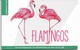 Oostenrijk Austria 2019  Flamingos  Booklet   Postfris/mnh/neuf - Other & Unclassified