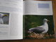 Delcampe - LES OISEAUX DE L' ATLANTIQUE Spitzberg Cap De Bonne Espérance Oiseau France Littoral Ornithologie Ornithologue Afrique - Animaux