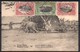 Congo - Entier Postal Stibbe 42- Vue 72 Elephant - Buta - 1917 - C8 - Entiers Postaux