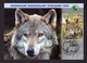 Ukraine 2019 Set MAXI MAXIMUM CARDs Mezyn National Nature Park Animals Birds Wolf Butterfly Cuckoo Roedeer #852 - Ucraina