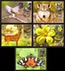 Ukraine 2019 Set MAXI MAXIMUM CARDs Mezyn National Nature Park Animals Birds Wolf Butterfly Cuckoo Roedeer #853 - Ucraina