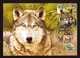 Ukraine 2019 Set MAXI MAXIMUM CARDs Mezyn National Nature Park Animals Birds Wolf Butterfly Cuckoo Roedeer #853 - Ucraina