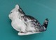 Petit CHAT Miniature En Porcelaine - Animaux