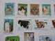 Timbres Chat Cat Gato Katze Gatto Katt Pisica - Chats Domestiques