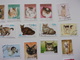 Timbres Chat Cat Gato Katze Gatto Katt Pisica - Chats Domestiques