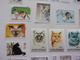 Timbres Chat Cat Gato Katze Gatto Katt Pisica - Chats Domestiques