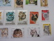 Delcampe - Timbres Chat Cat Gato Katze Gatto Katt Pisica - Chats Domestiques