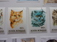 Delcampe - Timbres Chat Cat Gato Katze Gatto Katt Pisica - Chats Domestiques