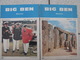 Delcampe - 15 Revues Big Ben, English-French Magazine. Revue Pédagogique1974-1984 - Pedagogia